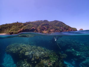 沖縄ダイビング　太陽サンサン　サンゴもりもり